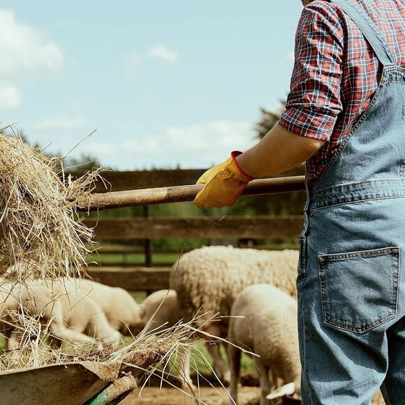 Men's Gold Thorn Proof Garden Yard Duty Work for Farmers Truckers Gloves - Picture 7 of 9